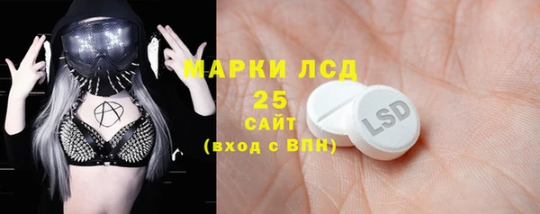 винт Алзамай