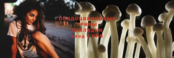 герыч Алексин
