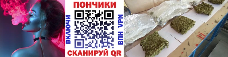 Каннабис OG Kush  Буй 